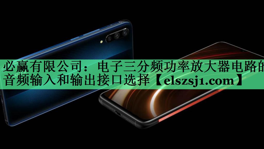 电子三分频功率放大器电路的音频输入和输出接口选择
